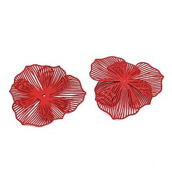 Окрашенные распылением железные колпачки IFIN-Z004-02E