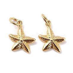 Латунные подвески&nbsp;KK-P207-016G-RS