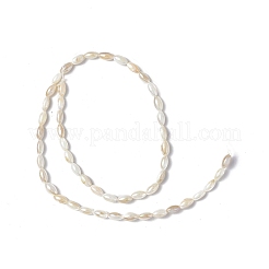 天然淡水シェルビーズ連売り  ABカラーメッキ  オーバル  ライトゴールデンロッドイエロー  7x4mm  穴：0.8mm  約49個/連  14.37インチ（36.5cm）&nbsp;SHEL-C003-06