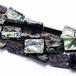 Naturelles Paua brins de perles, rectangle, colorées, 15x11x3mm, Trou: 1mm, Environ 29 pcs/chapelet, 15.3 pouce