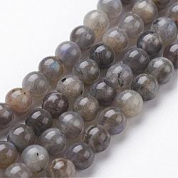 Natural Labradorite Bead Strands, Round, 6mm, Hole: 1mm, about 64pcs/strand, 15.3 inch(390mm)