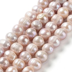 Hebras de perlas de agua dulce cultivadas naturales, patata, grado ab, marrón rosado, 9~12x9~11mm, agujero: 0.5 mm, aproximamente 35 pcs / cadena, 14.37'' (36.5 cm)