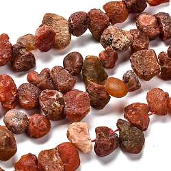 Rough Raw Natural Carnelian Beads Strands, Nuggets, 6~10x13~21x6~16mm, Hole: 1.2~1.5mm, about 39pcs/strand, 16.34 inch(41.5cm)