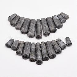 Natürliche Larvikit-Perlenstränge, abgestufte Fächeranhänger, Fokalperlen, 16~39x9.5~10x5 mm, Bohrung: 1 mm, 11 Stk. / Strang, 3.27 Zoll