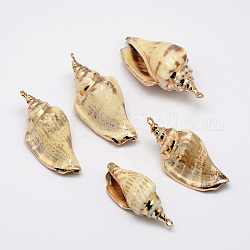 Oro galvanici pendenti shell conchiglia, colore misto, 26~52x13~23x15~17mm, Foro: 2 mm