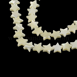 Brins de perles en coquillage naturel en forme d'étoile, 12~13x12~13x3~4mm, Trou: 1mm, Environ 38 pcs/chapelet, 15.3 pouce
