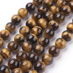 Natürlichen Tigerauge Perlen Stränge, Runde, dunkelgolden, 10 mm, Bohrung: 1 mm, ca. 19 Stk. / Strang, 7.4 Zoll