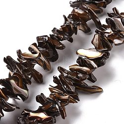 Naturelles trochides coquille brins de perles, puce, brun coco, 2~11x22~25x5~8mm, Trou: 0.8mm, Environ 93~148 pcs/chapelet, 14.57~15.94 pouce (37~40.5 cm)