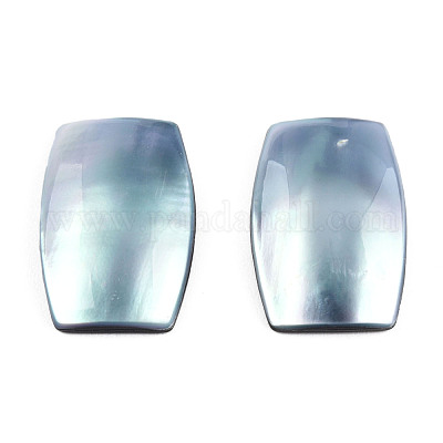 Натуральный турбокорнулус/кабошоны из ракушек SSHEL-N003-153A-1