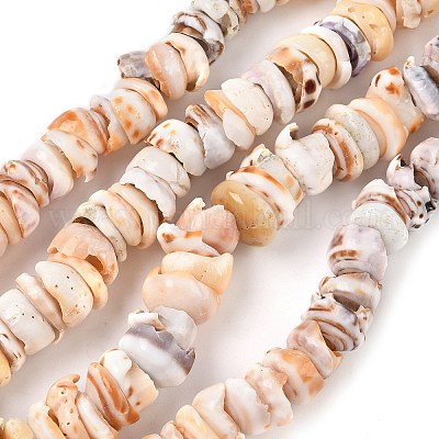 Нити бусин из натуральных ракушек SSHEL-F304-01-1