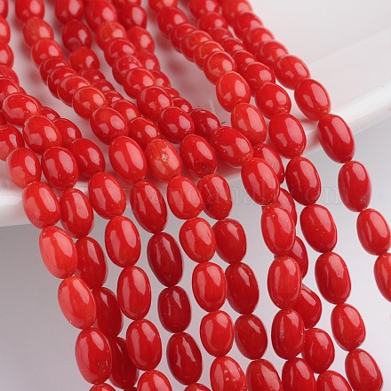Natural Coral Beads Strands DC035Y-1