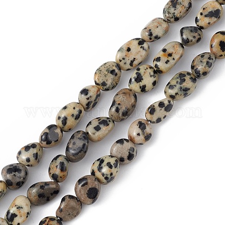 Natur Dalmatiner Jaspis Perlen Stränge X-G-B039-03A-1