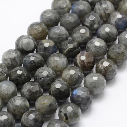 Natural Labradorite Beads Strands G-P322-30-12mm-1