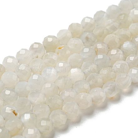 Natürlichen Mondstein Perlen Stränge G-F736-01-AB-1