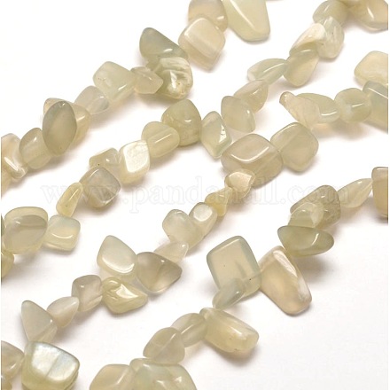 Natural White Moonstone Chip Bead Strands G-M204-38-1