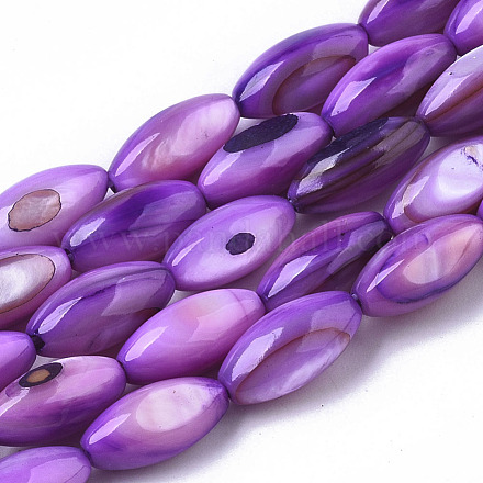 Perles de coquillages naturels d'eau douce SHEL-R047-02C-1