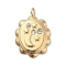 304 Stainless Steel Pendants, with Cubic Zirconia, Oval with Moon, Golden, 25x17x4mm, Hole: 2.5mm