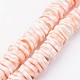 Natural Shell Bead Strands BSHE-P021-21A-1