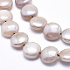 Electroplate Natural Sunstone Beads Strands G-K256-22A-3