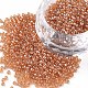 12/0 Grade A Round Glass Seed Beads X-SEED-Q011-F501-1