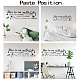 PVC Quotes Wall Sticker DIY-WH0200-010-3