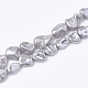 Cuentas perlas de concha de perla BSHE-Q033-01G-1