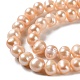 Fili di perle di perle d'acqua dolce coltivate naturali PEAR-E018-31-3