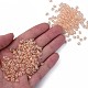 Perline di semi di vetro ceche trasparenti SEED-N004-005-C06-5