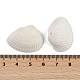 Бусины из натуральных ракушек SHEL-K009-16-3