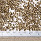 Perles rocailles miyuki rondes X-SEED-G007-RR0379-4