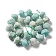 Natural Amazonite Beads Strands G-B027-A02-3