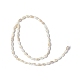 Eau douce naturelle de coquillage perles brins SHEL-C003-06-2