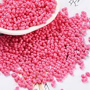 Выпечка краска стеклянные бусины SEED-A033-05L
