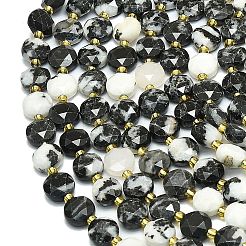 Природные австралия зебра яшма бусы пряди G-C116-A60-02