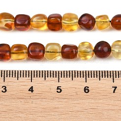 Zweifarbige Stränge aus natürlichen Bernsteinperlen&nbsp;G-K426-A03-05