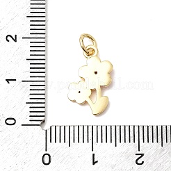 Подвески из латуни с прозрачным фианитом&nbsp;KK-G554-07G-03