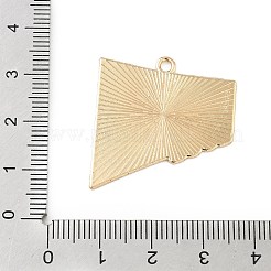 Pendentifs en alliage émaillé pour le sport&nbsp;LS-ENAM-I074-01G-13