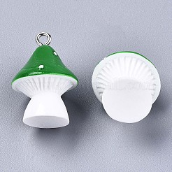 Подвески из непрозрачной смолы&nbsp;X-RESI-T028-69B