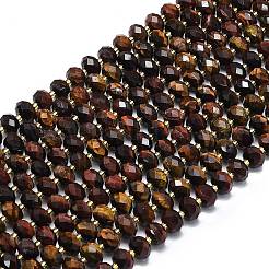 Окрашенные естественно тигровый глаз бисер пряди G-P573-A37-01