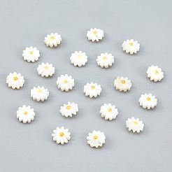 20шт натуральные пресноводные бусины из ракушек PEAR-NB0001-14