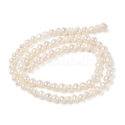 Brins de perles de culture d'eau douce naturelles&nbsp;PA-CBAC463-14