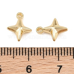 Pendentif en alliage &nbsp;AL-CBA83D5-03G