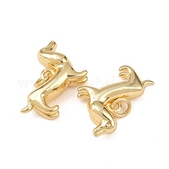 Латунные подвески&nbsp;KK-L255-20G-02