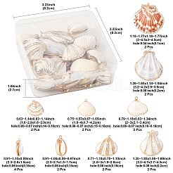 20 шт. 9 стиля подвески из натуральных ракушек с гальваническим покрытием SSHEL-FS0001-12
