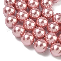 Perles de perles de coquille galvanoplastie&nbsp;BSHE-G041-12mm-05