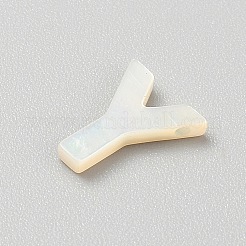 Бисеры из пресноводных оболочек&nbsp;SHEL-WH0006-02Y