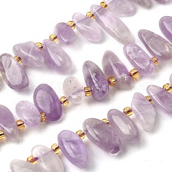 Природный аметист нитей бисера G-Z091-A02