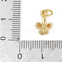 Латунные подвески&nbsp;KK-L231-09G