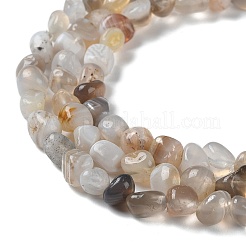 Природные Ботсвана агат бисер нитей&nbsp;G-D081-A03