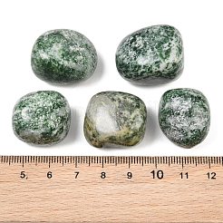 Natürliche grüne Punktjaspisperlen&nbsp;GG-CBAD0F6-B02-01